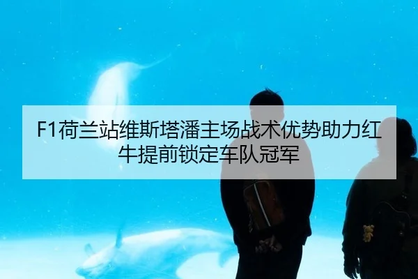 he-lan-zhan-wei-si-ta-pan-zhu-chang-zhan-shu-you-shi-zhu-li-hong-niu-ti-qian-suo-ding-che-dui-guan-jun-1-687.jpg